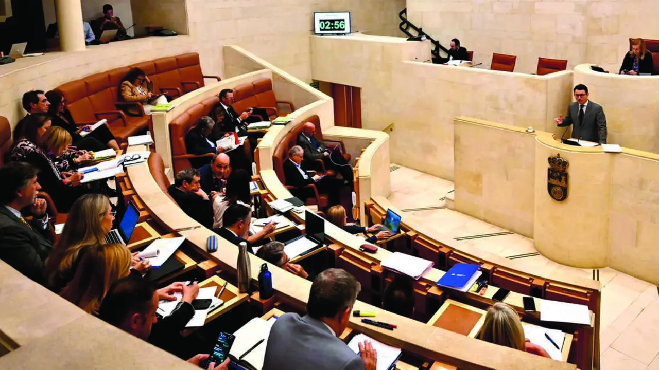 El diputado del PP, Alejandro Liz, llev&oacute; la propuesta al Parlamento. / Alerta