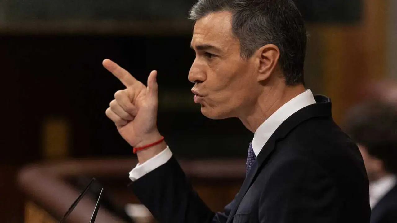 El presidente del Gobierno, Pedro S&aacute;nchez, interviene durante una sesi&oacute;n de control al Gobierno. / Eduardo Parra