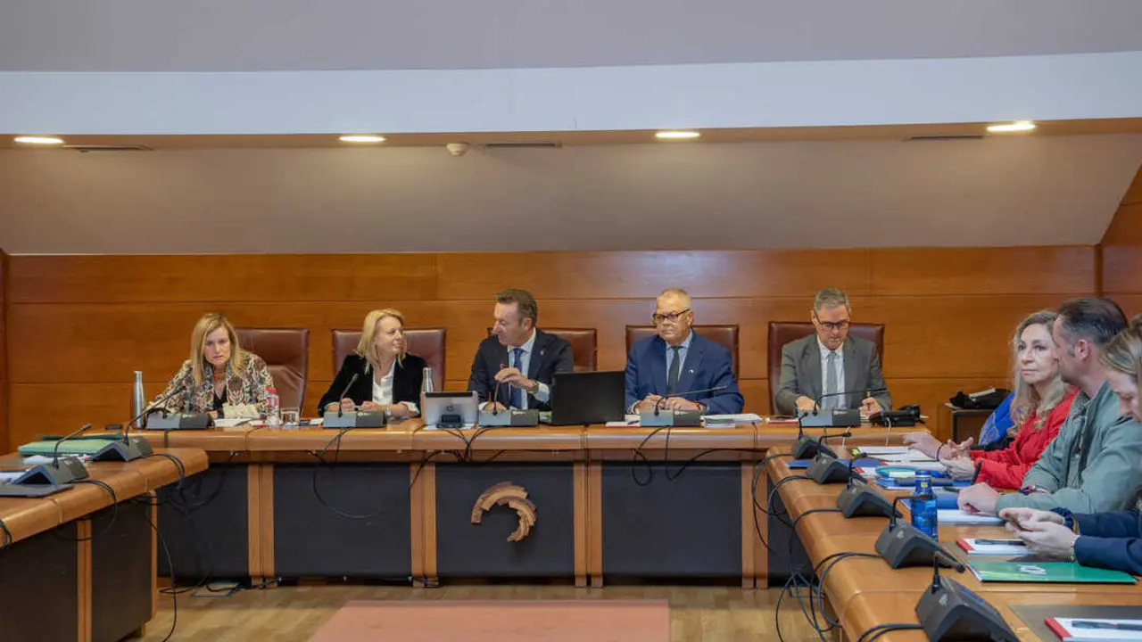 La consejera de Desarrollo Rural, Ganader&iacute;a, Pesca y Alimentaci&oacute;n, Mar&iacute;a Jes&uacute;s Susinos, acompa&ntilde;ada de todos los altos cargos de su Consejer&iacute;a, comparece en la Comisi&oacute;n. / A.E.