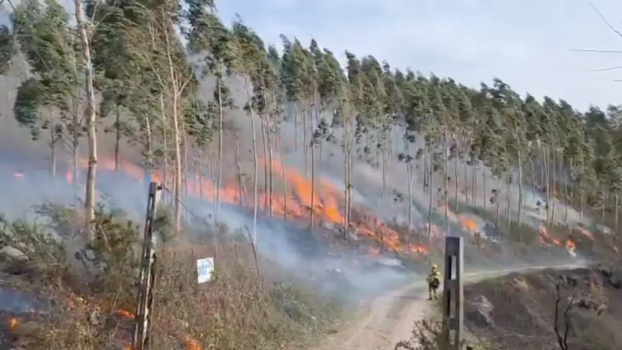 Los bomberos sofocan uno de los fuegos que afectaron a la regi&oacute;n. / 112