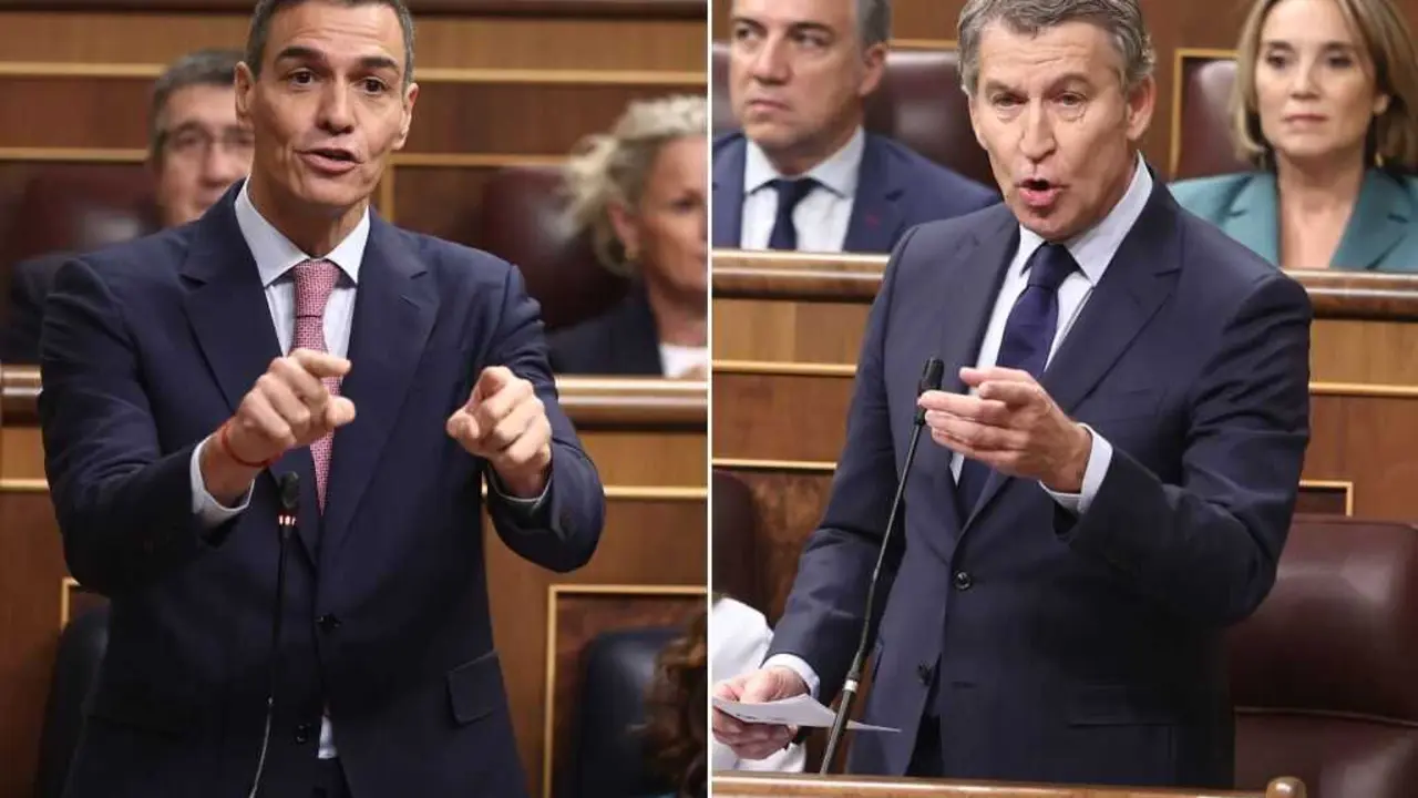 El presidente del Gobierno, Pedro S&aacute;nchez, y el l&iacute;der del PP, Alberto N&uacute;&ntilde;ez Feij&oacute;o, en el Congreso. / EP