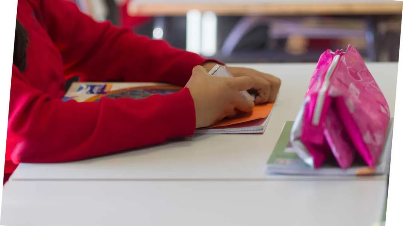 Un ni&ntilde;o en clase. / EP