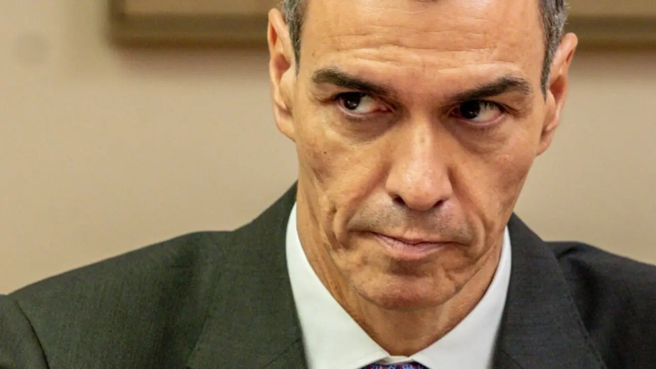 Pedro S&aacute;nchez.