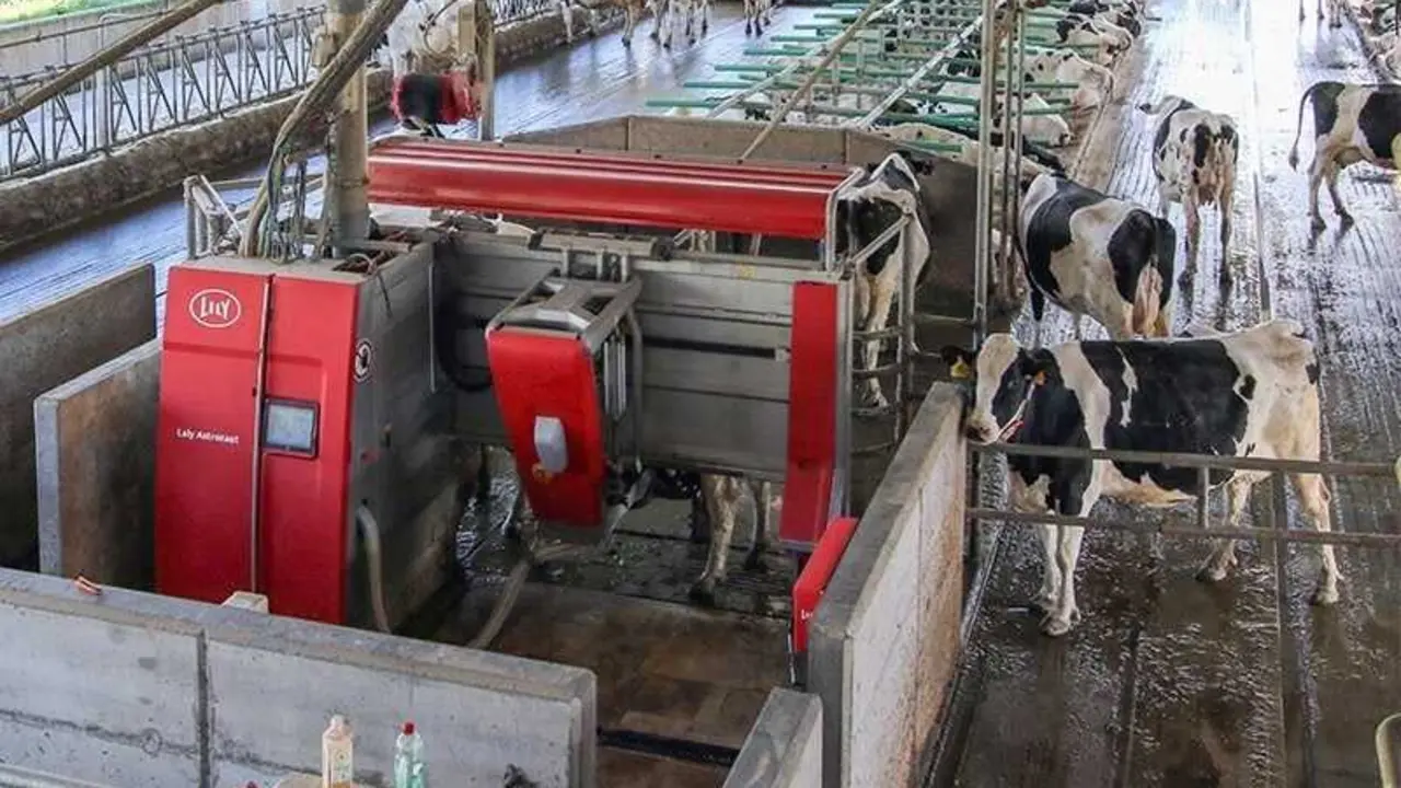 El Gobierno regional autoriza casi 7,2 millones para el Programa de Sanidad Integral y Control de Explotaciones Ganaderas. / Alerta