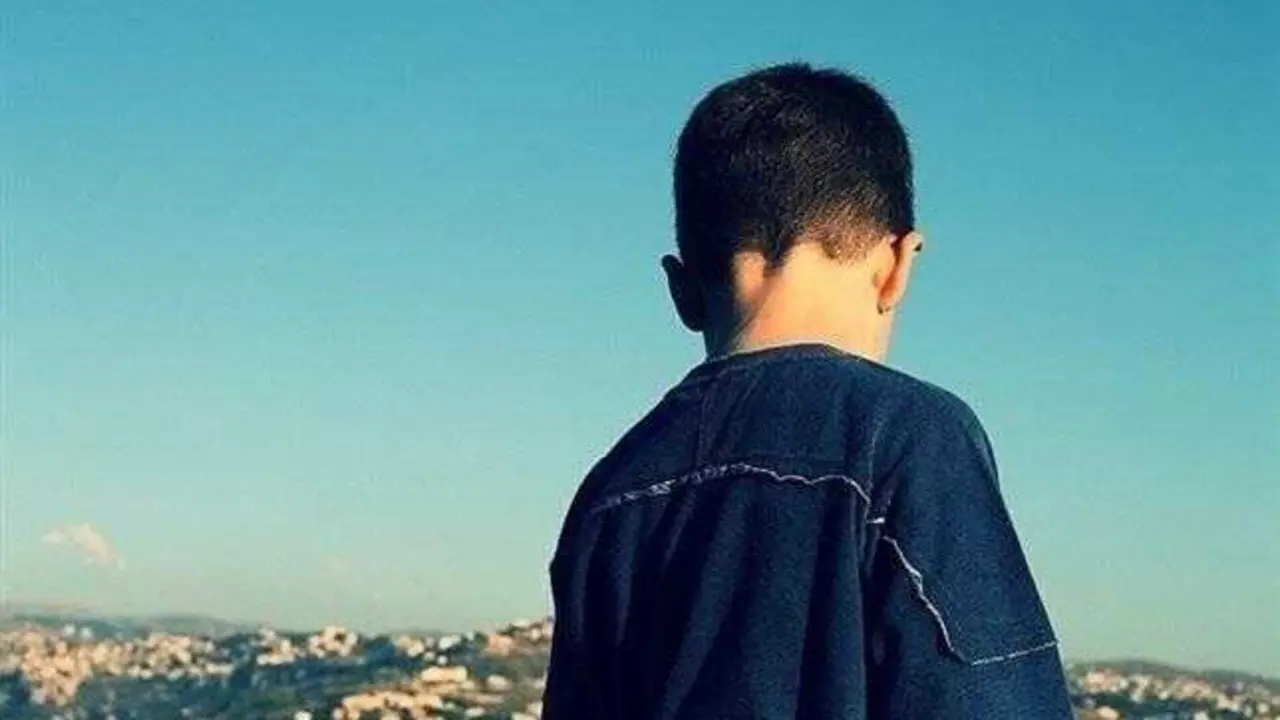 Un ni&ntilde;o encontr&oacute; agallas que desencadenaron una investigaci&oacute;n cient&iacute;fica relevante. / EP