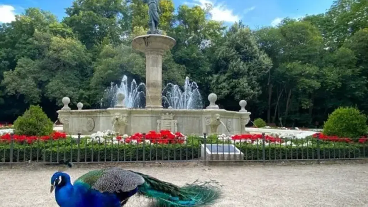 Uno de los rincones del parque de Valladolid. / A.E