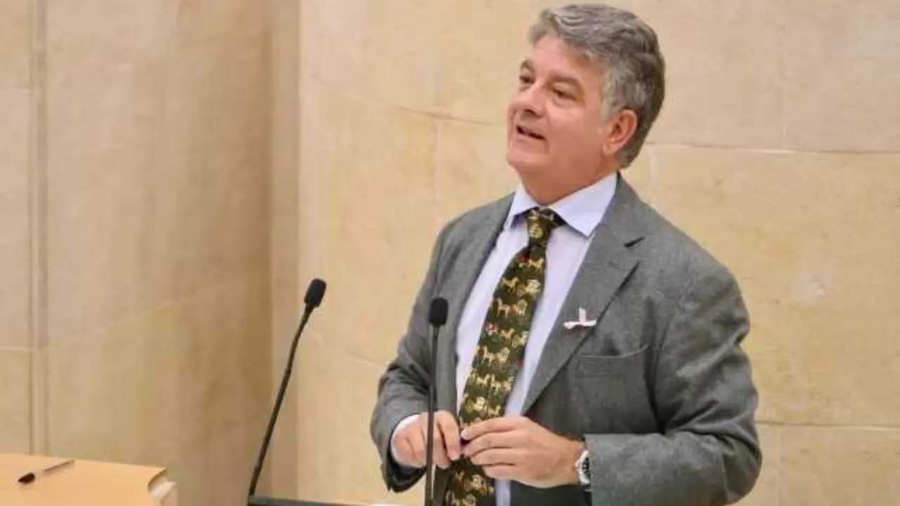 El diputado regional y portavoz de Seguridad del PP, C&aacute;ndido Cobo. / EP