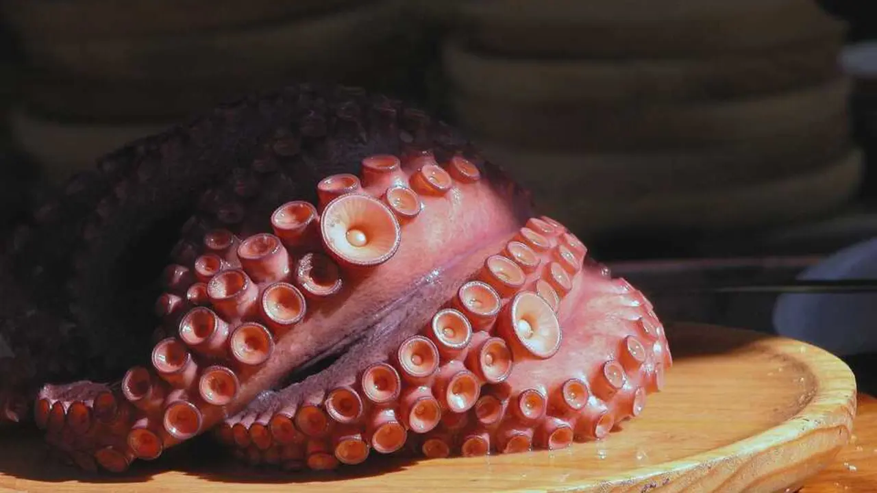 El secreto para cocer pulpo tierno est&aacute; en congelarlo previamente, cocinarlo en agua hirviendo y dejar reposar despu&eacute;s de cocerlo. / EP
