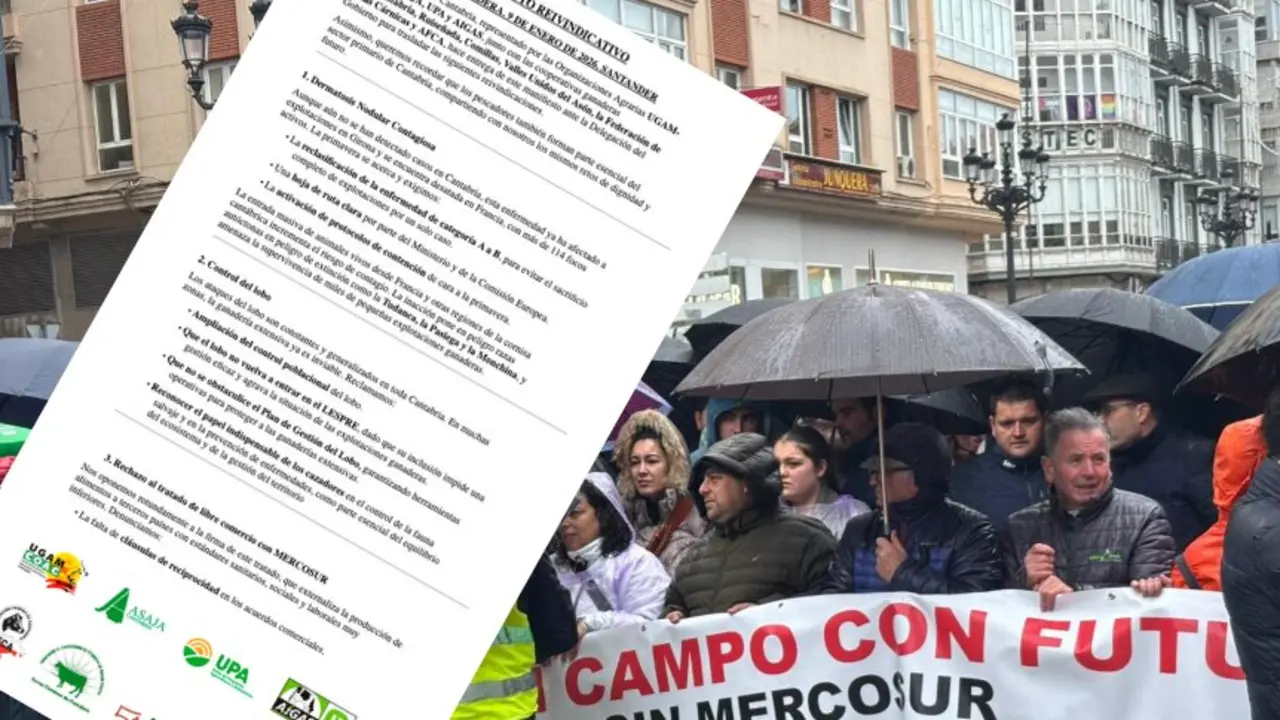 El campo c&aacute;ntabro alza la voz en Santander. Bajo una intensa lluvia y con m&aacute;s de 250 tractores colapsando las calles del centro, los agricultores y ganaderos de Cantabria reclamaron el 9 de enero un giro urgente en las pol&iacute;ticas agrarias. Durante la movilizaci&oacute;n, hicieron p&uacute;blico un manifiesto con 14 reivindicaciones dirigidas al Gobierno regional, nacional y a las instituciones europeas.