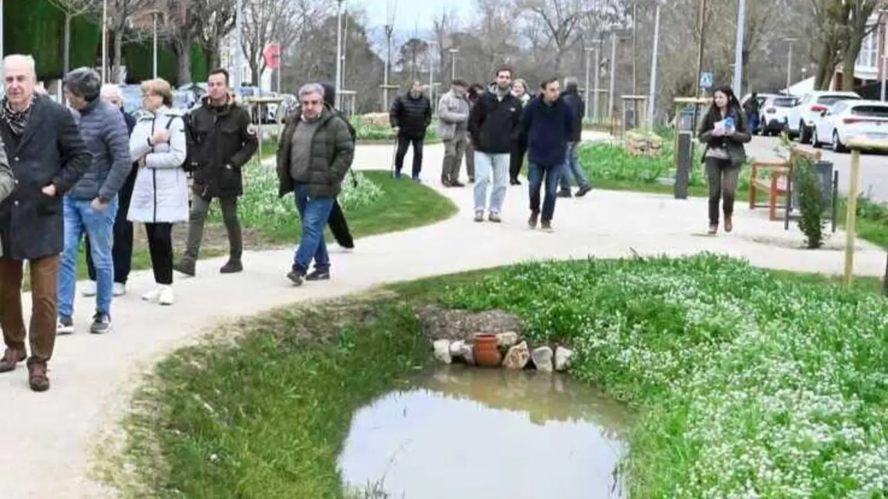 e el nuevo bosque urbano de la avenida Doctor Diego Madrazo en Santander. / alerta