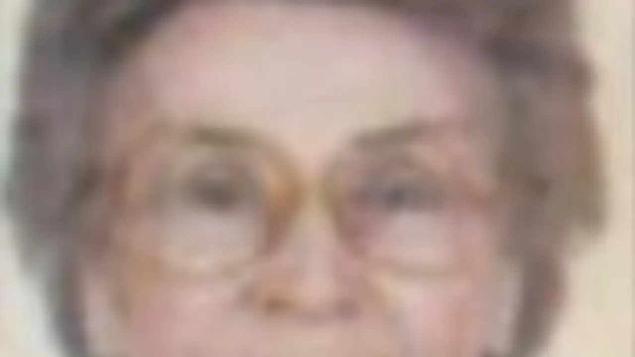 DO&Ntilde;A PAULINA BOLADO BARROS