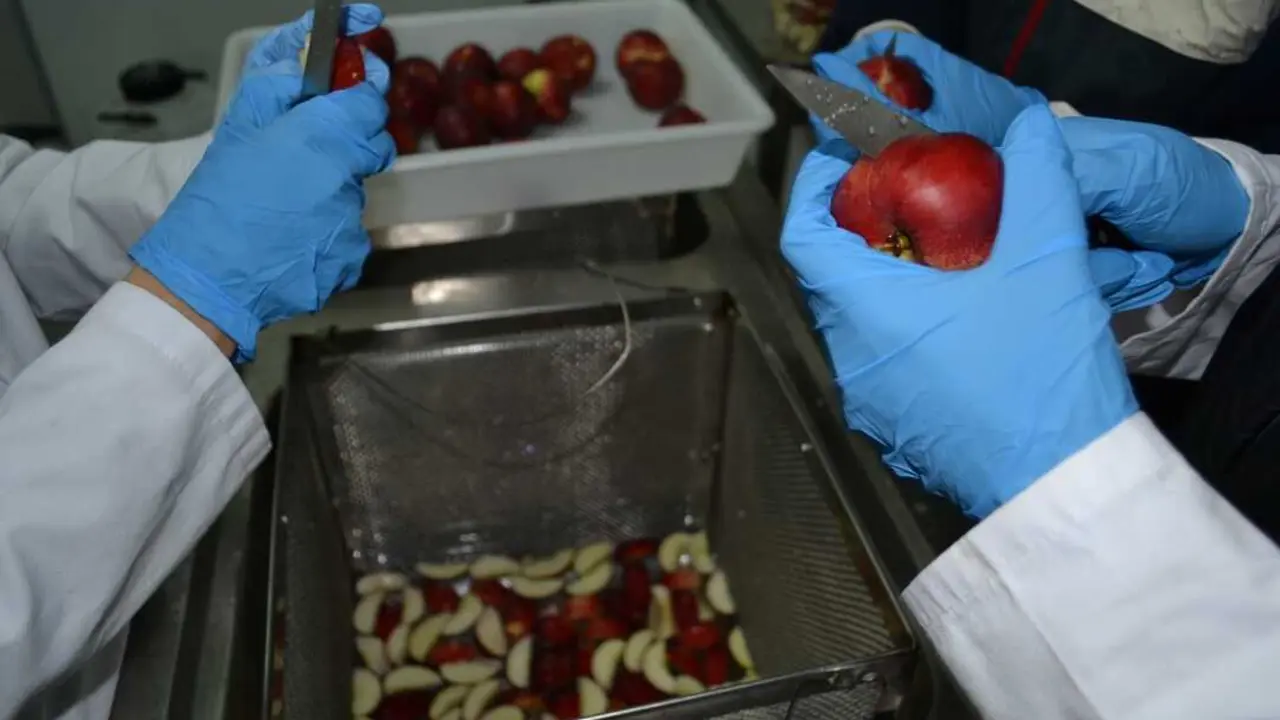 El hallazgo de pesticidas en nectarinas exportadas desde Espa&ntilde;a ha obligado a la UE a intervenir. / EP