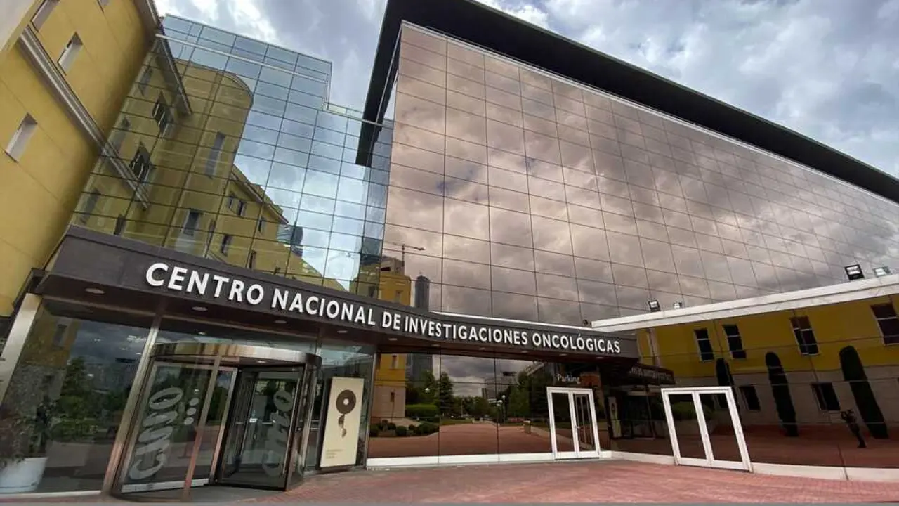 ESede del Centro Nacional de Investigaciones Oncol&oacute;gicas (CNIO. / EP / Archivo