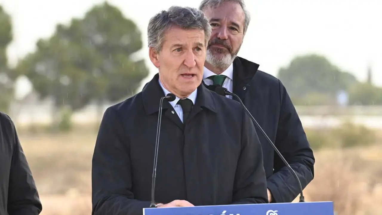 El presidente del PP, Alberto N&uacute;&ntilde;ez Feij&oacute;o. / EP