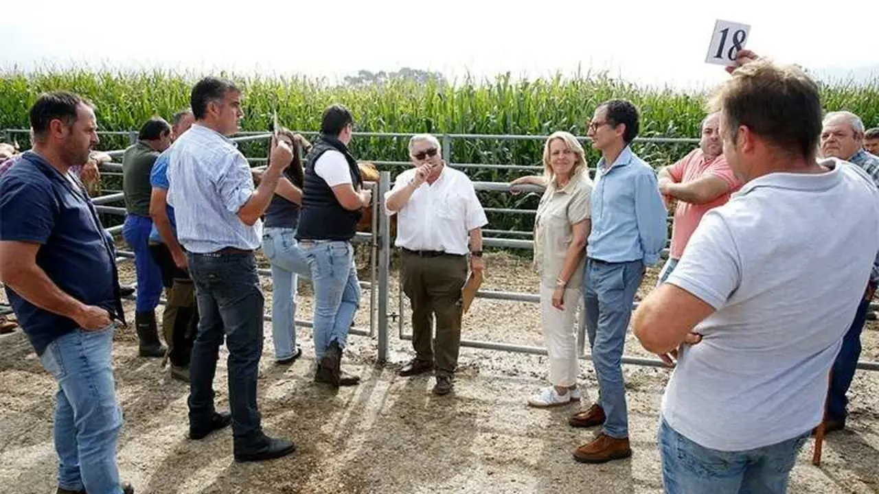 El ganado vacuno concentra la mayor parte de los siniestros y compensaciones econ&oacute;micas. / Alerta
