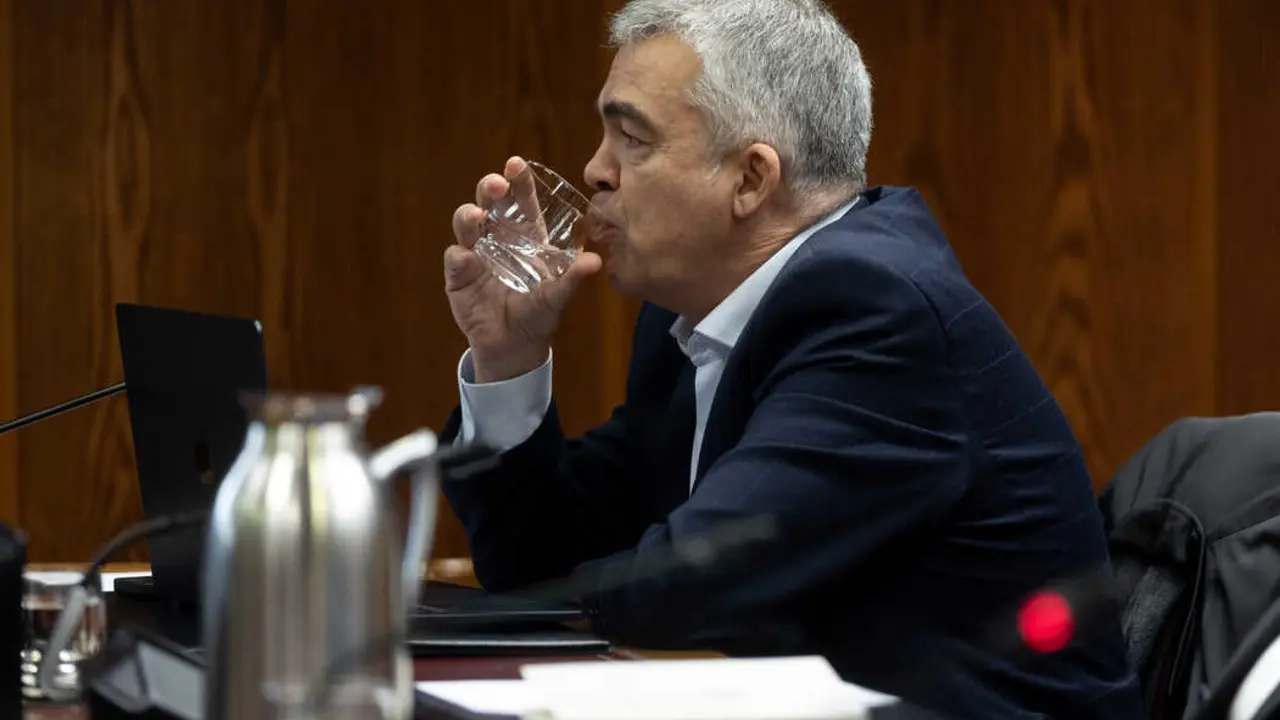 El ex secretario de Organizaci&oacute;n del PSOE Santos Cerd&aacute;n durante la Comisi&oacute;n de Investigaci&oacute;n. / EP