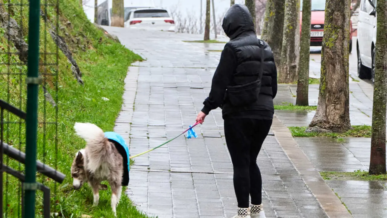 Una persona pasea un perro un d&iacute;a de temporal. / EP