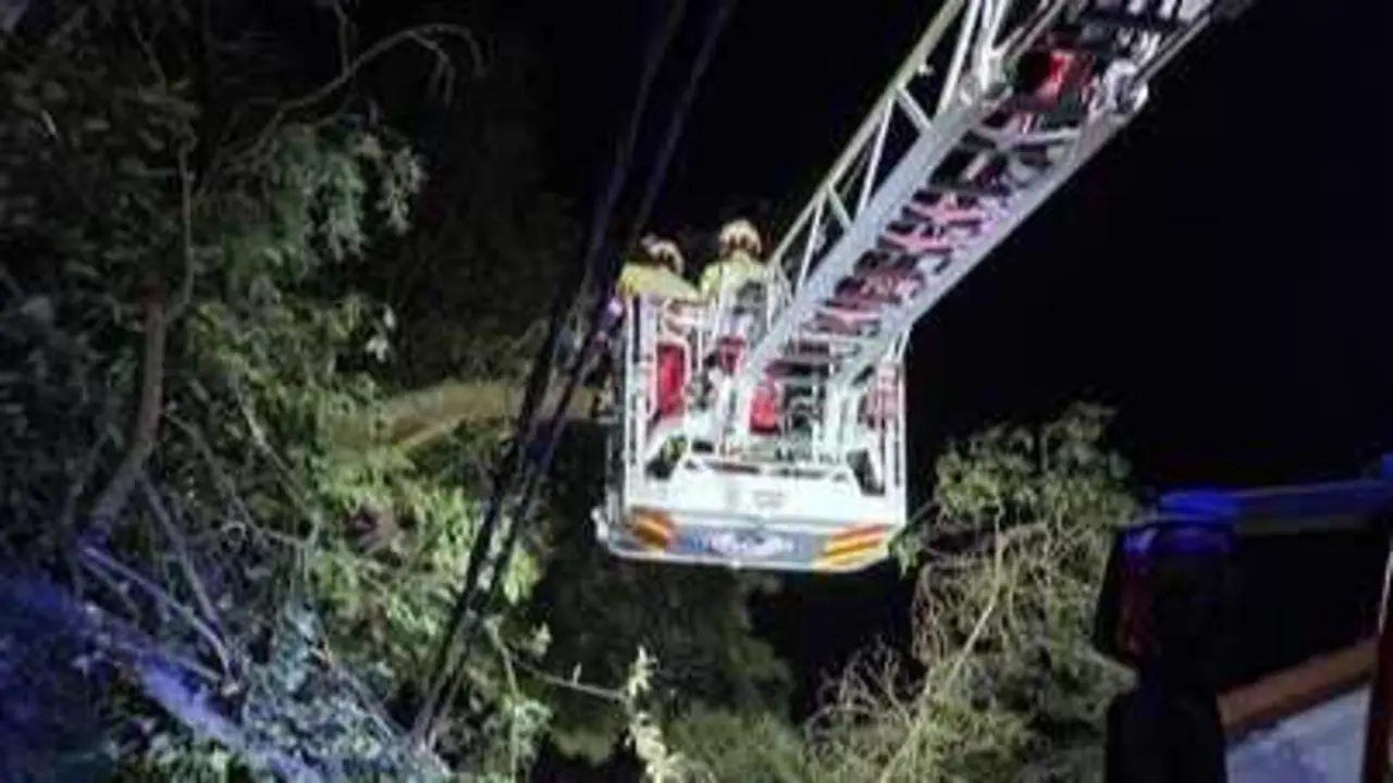 Los Bomberos del Gobierno de Cantabria retiran el &aacute;rbol tirado por el viento en San Miguel de Meruelo. / 112