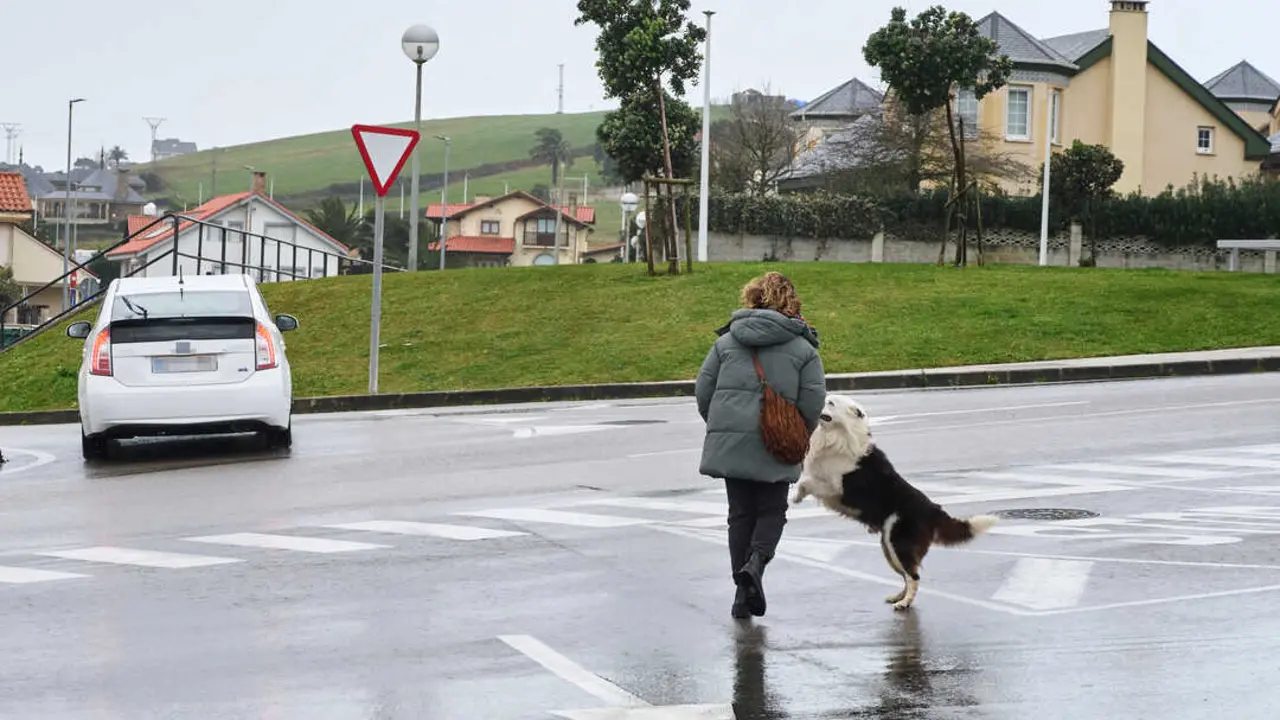 Una persona pasea con su perro. / EP