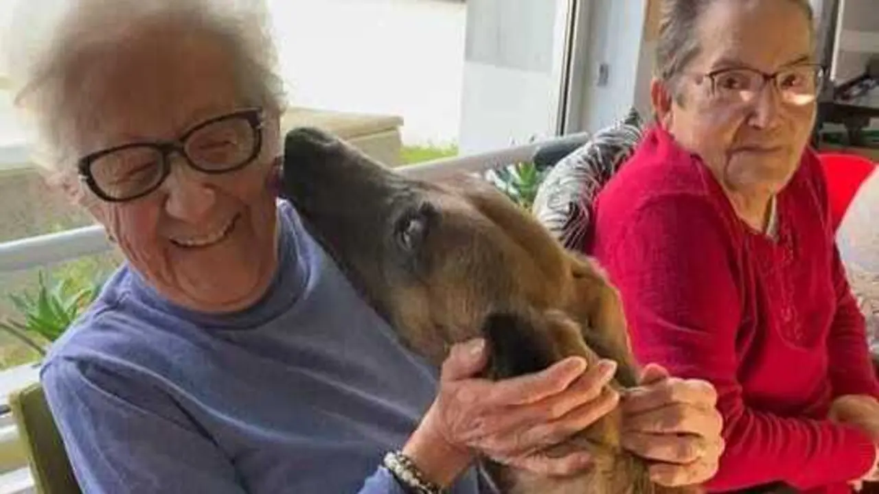 Perder una mascota puede doler como perder a un familiar cercano, seg&uacute;n estudios recientes. / EP
