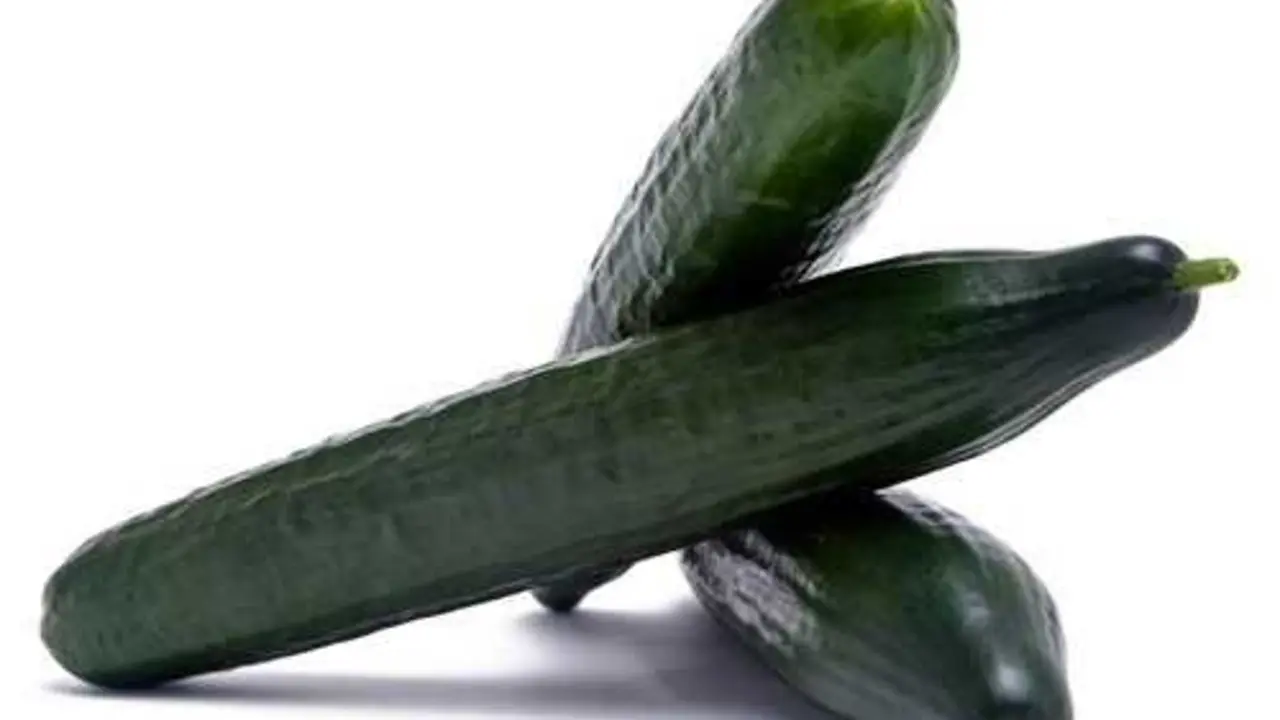 Un preparado de pepino y agua se plantea como repelente natural frente a cucarachas en verano. / EP