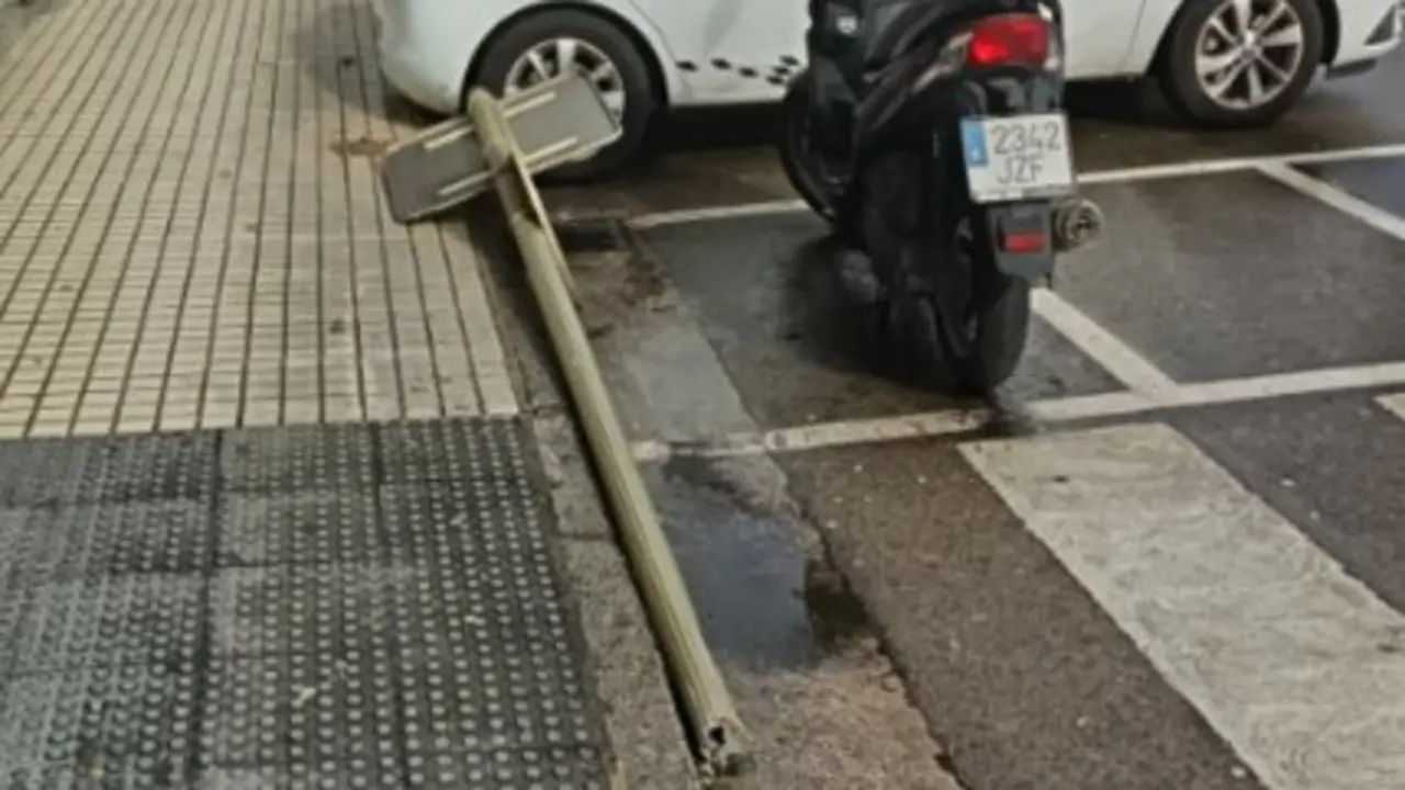 Permanece ca&iacute;da en plena v&iacute;a p&uacute;blica desde hace d&iacute;as sin que el Ayuntamiento haya actuado. / Torrelavega se mueve
