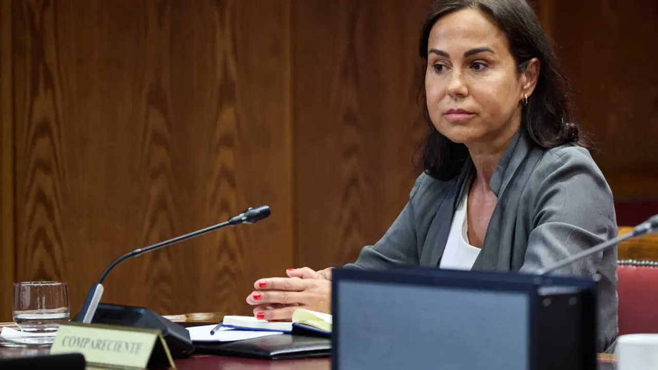 La expresidenta de Adif y ex secretaria de Estado de Transportes, Movilidad y Agenda Urbana, Isabel Pardo de Vera. / EP