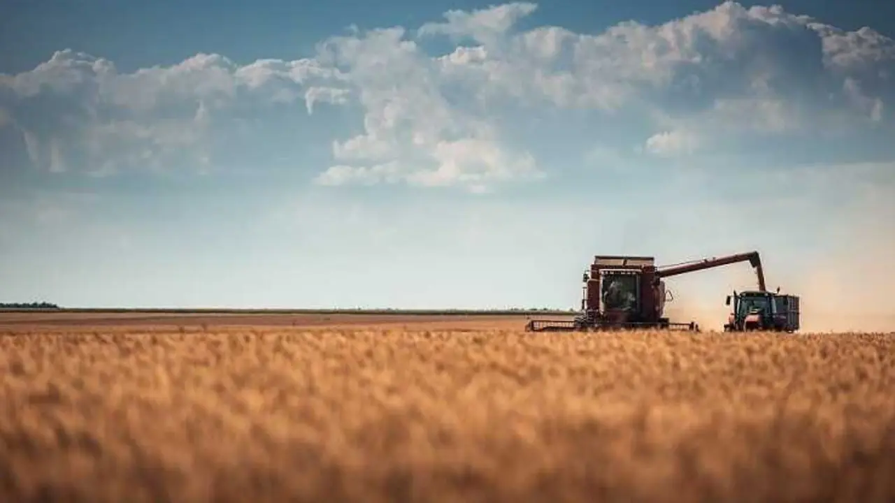 Una segadora en un campo de cereales. / EP