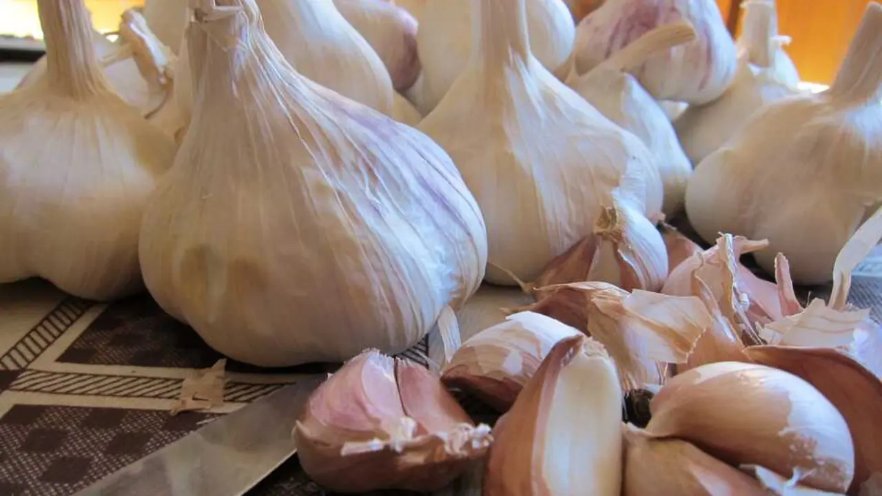 Los ajos germinados pueden consumirse sin problema, aunque su sabor es m&aacute;s amargo y picante. / EP