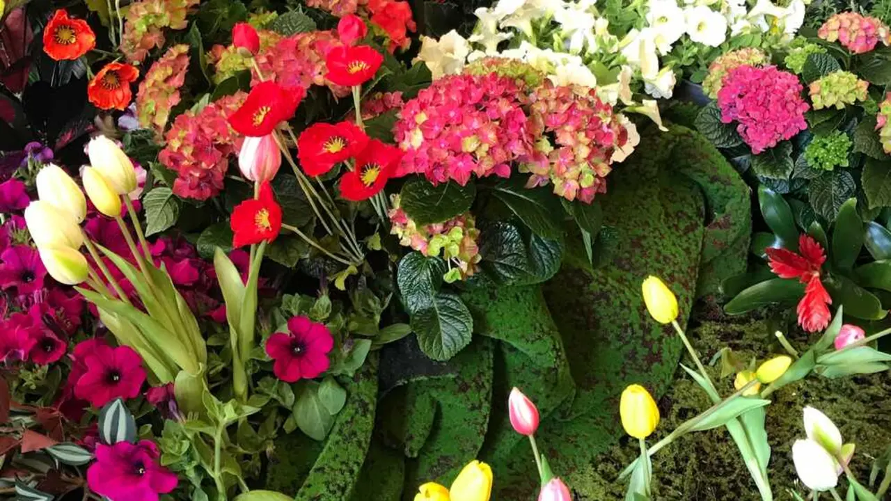 El Feng Shui desaconseja tener hortensias en casa y recomienda ubicarlas en exteriores para no afectar el flujo energ&eacute;tico. / EP