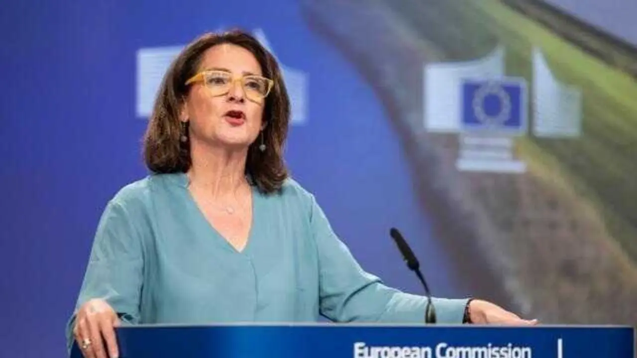La vicepresidenta ejecutiva para una Transici&oacute;n Limpia, Justa y Competitiva de la Comisi&oacute;n Europea, Teresa Ribera. / EP