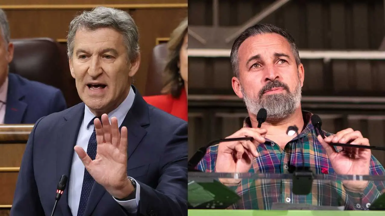 El presidente del Partido Popular, Alberto N&uacute;&ntilde;ez Feij&oacute;o (i), y el l&iacute;der de Vox, Santiago Abascal. / EP