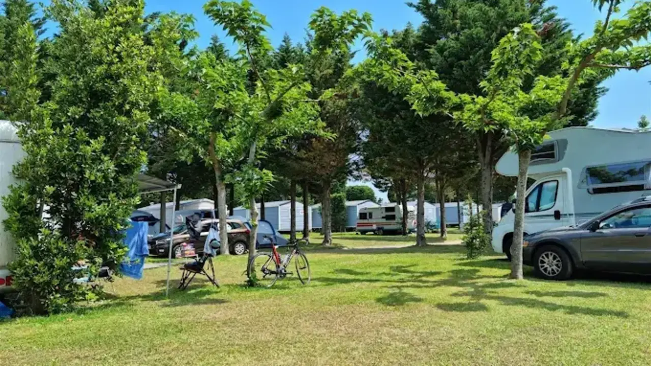 Playa, animales y naturaleza protegida en un mismo lugar. Este camping en Cantabria se ha convertido en uno de los destinos m&aacute;s completos del norte. / a.e