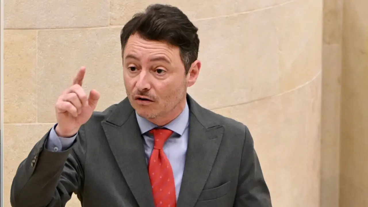 Alejandro Liz, durante su intervenci&oacute;n en el Parlamento de Cantabria en defensa del proyecto del centro de datos Altamira.