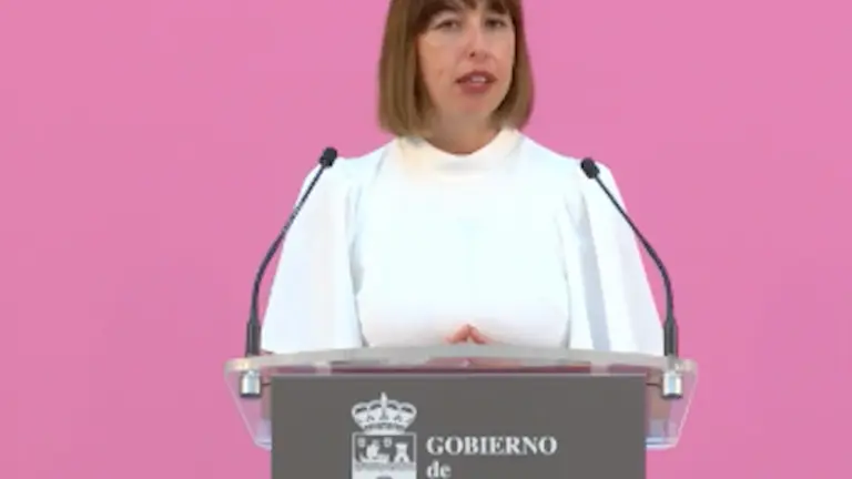 La consejera de Econom&iacute;a y Hacienda, Mar&iacute;a S&aacute;nchez. / ALERTA