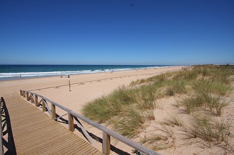 800px-Playa_del_palmar