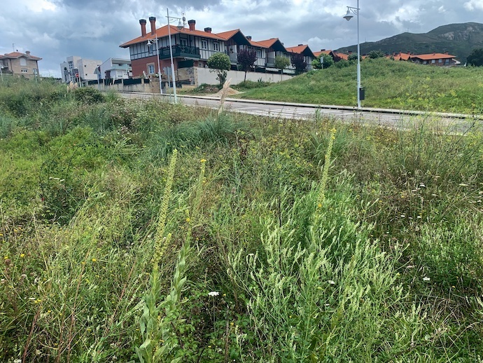 Solar Castro Urdiales 2