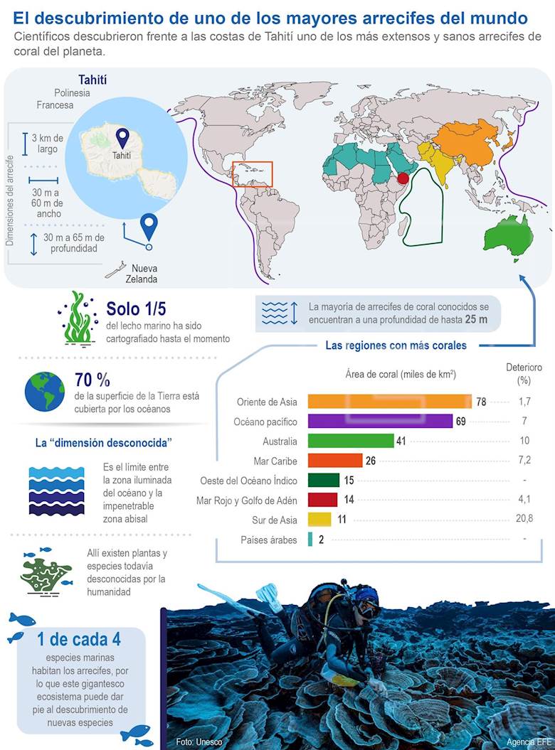 Un grupo de científicos ha descubierto frente a las costas de Tahití (Polinesia Francesa) uno de los mayores arrecifes de coral sanos del mundo: tres kilómetros de largo y hasta metros de ancho.