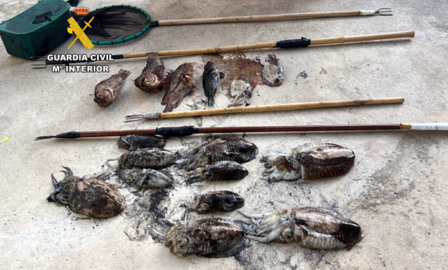 Tras la incautación de 12 cachones y 4 cabrachos a pescadores furtivos, la Guardia Civil hace entrega de las capturas a un centro benéfico de Santander, transformando un acto ilegal en un gesto de solidaridad y apoyo a la comunidad.