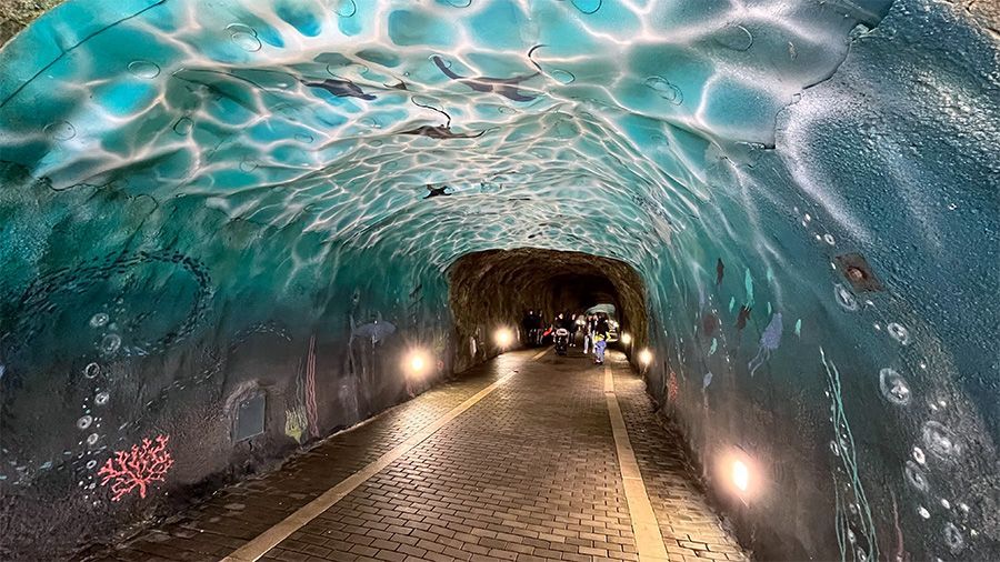 Imagen interior del túnel. / Faro del Caballo