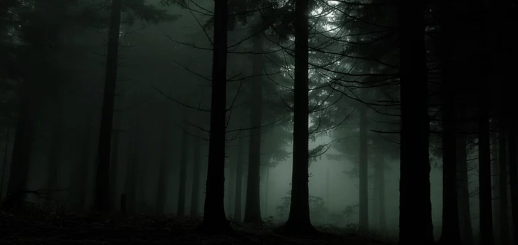 Una imagen inquietante de un bosque envuelto en niebla, donde las sombras se alargan entre los árboles y el misterio parece acechar en cada rincón. En estos parajes solitarios, las antiguas leyendas de Cantabria cobran vida, y se dice que quienes caminan por estos senderos al anochecer pueden sentir la presencia del Espíritu de la Montaña, el guardián eterno de los valles y bosques de Carmona.