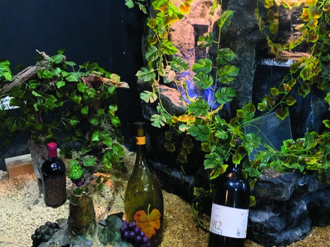 Decoración interior del local con una especie de viñedo y una fuente para mejorar el ambiente. / V.G.