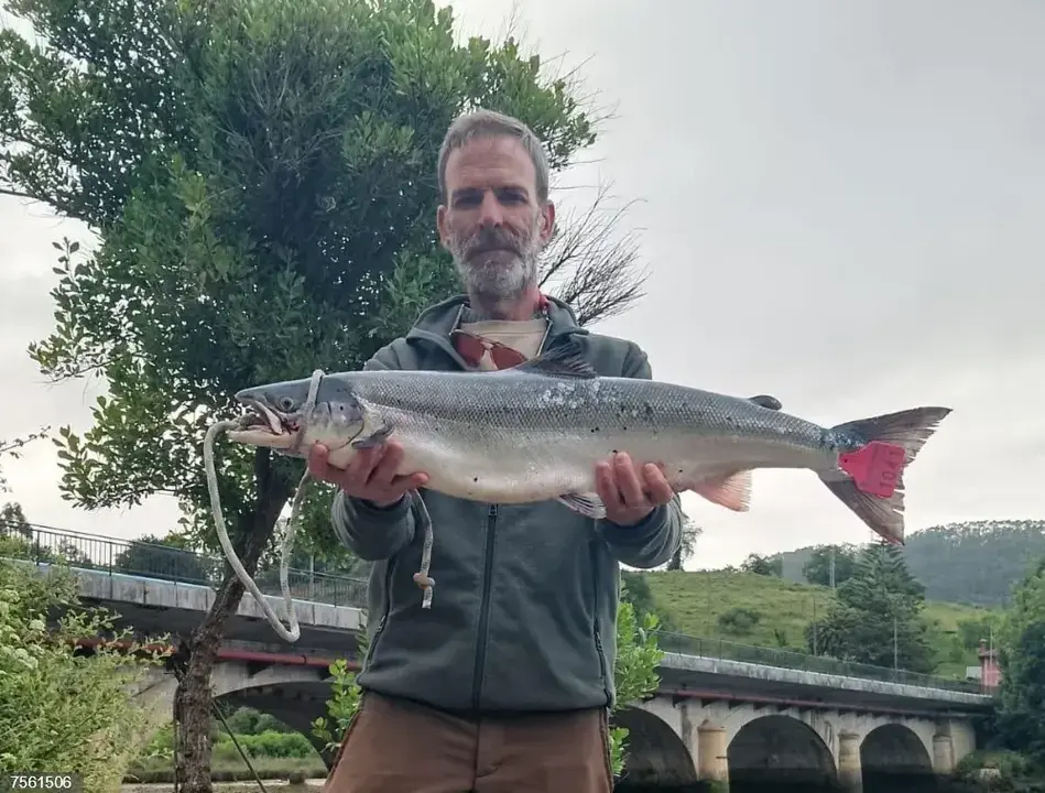 El pescador de El Peral (Rivadedeva, Asturias) Alfonso Caso, que ha capturado un ejemplar de 4.720 gramos de peso y 79 centímetros de longitud.